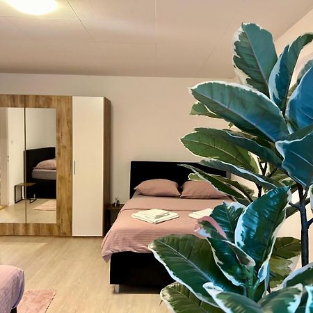 Appartamento Tas24Ch Travel And Sleep 24 St. Gallen Esterno foto