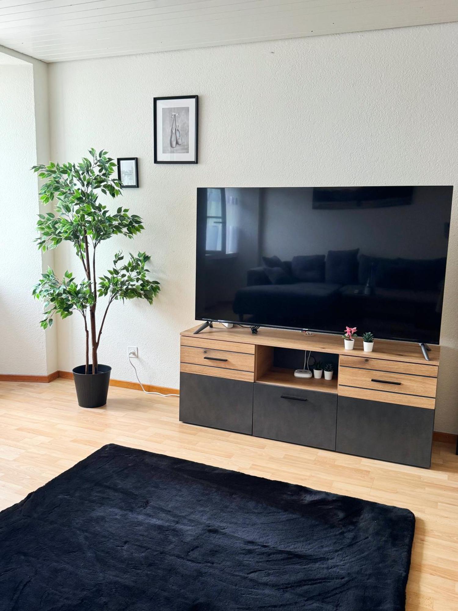 Appartamento Tas24Ch Travel And Sleep 24 St. Gallen Esterno foto